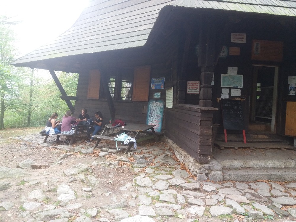 20180904_124217.jpg