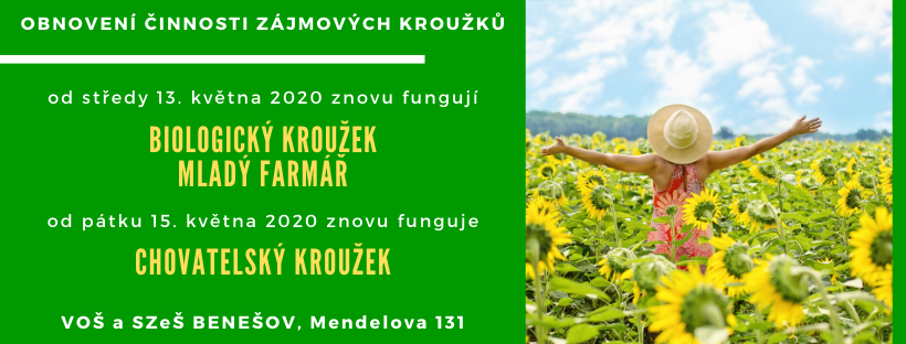 obnoveni činnosti kroužků 2020.png