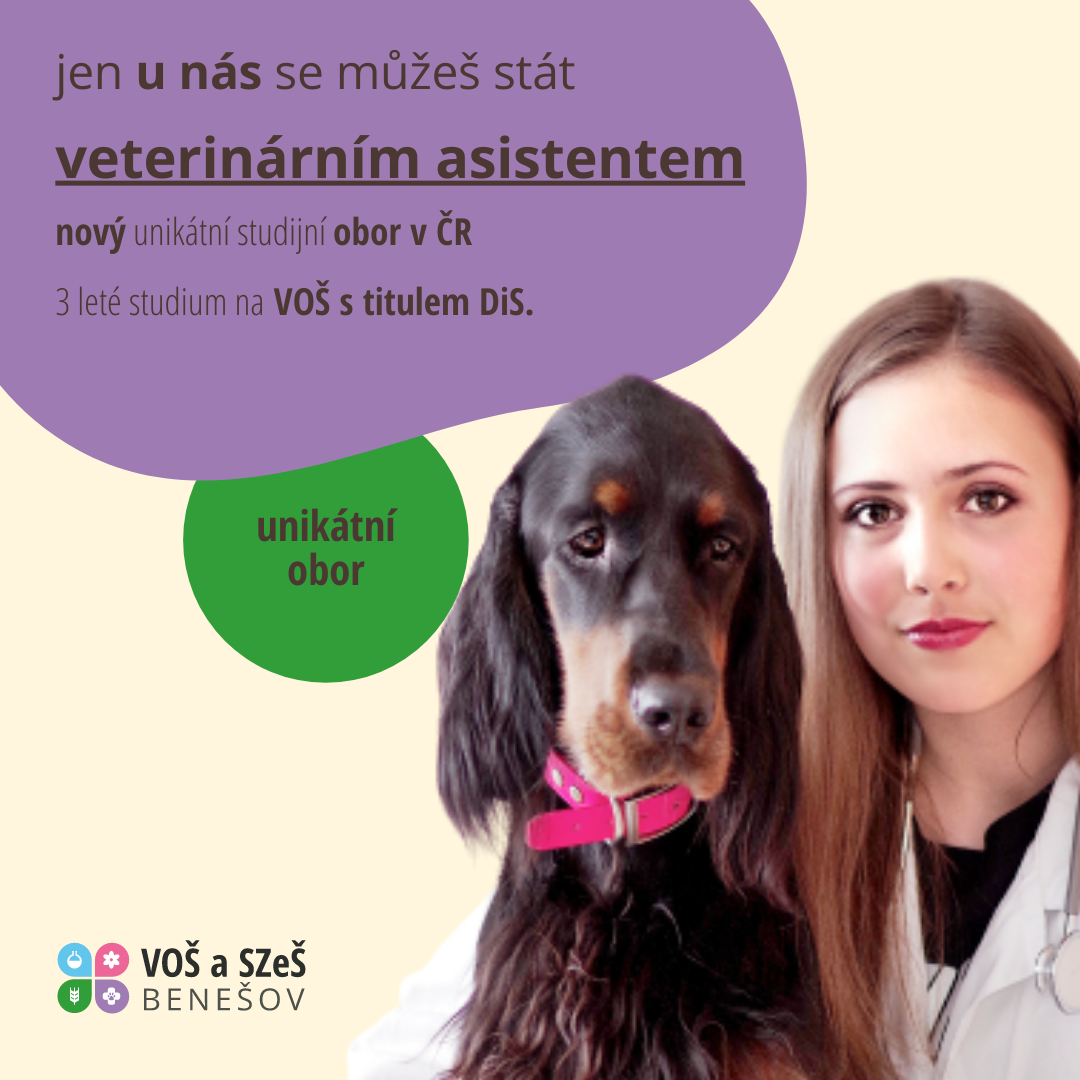 jen u nás se můžeš stát.png