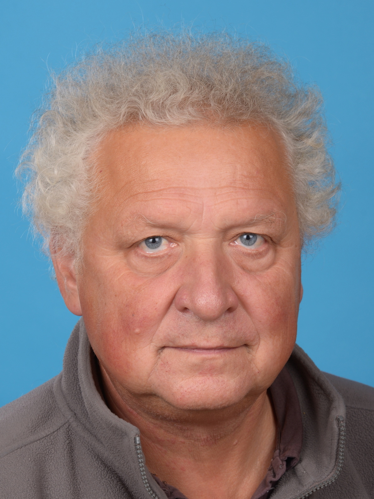 šeda.JPG
