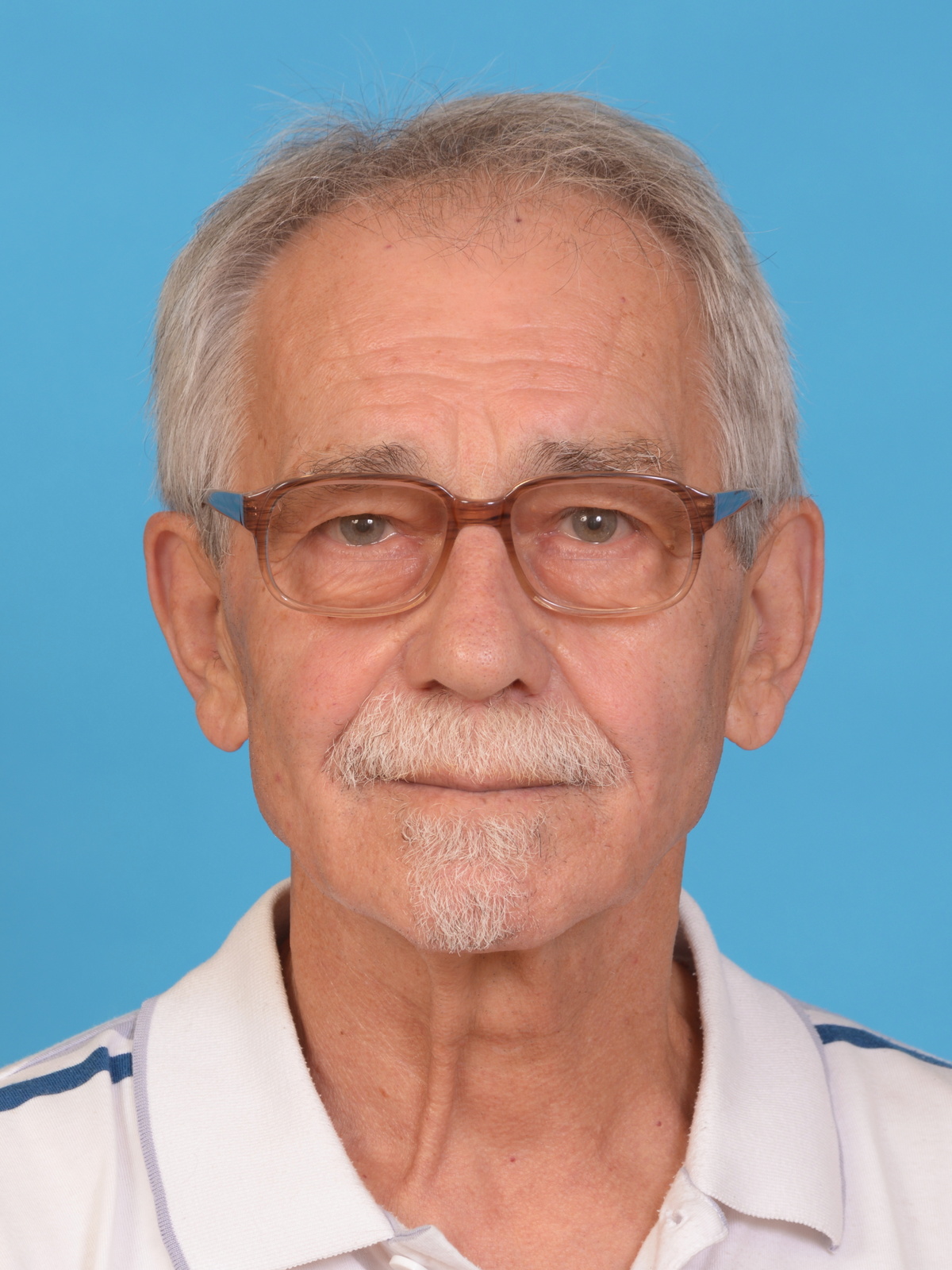 Šípek.JPG