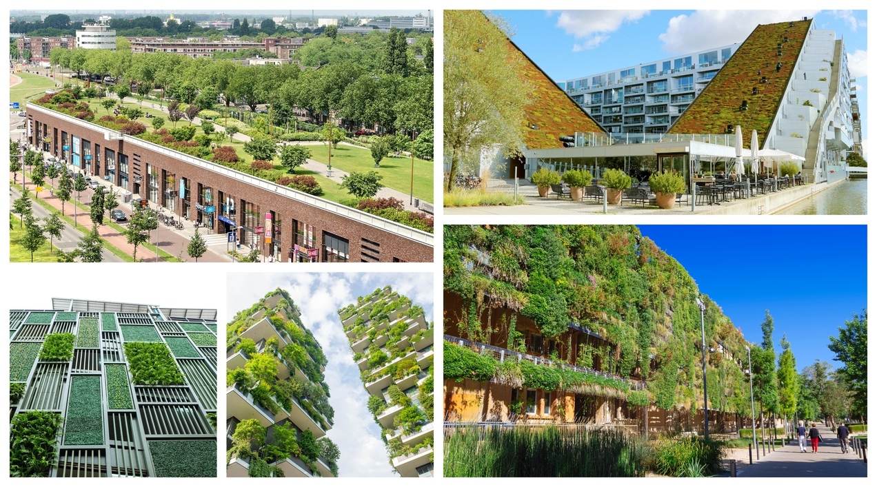 green gardens Europea 2020 collage.jpg