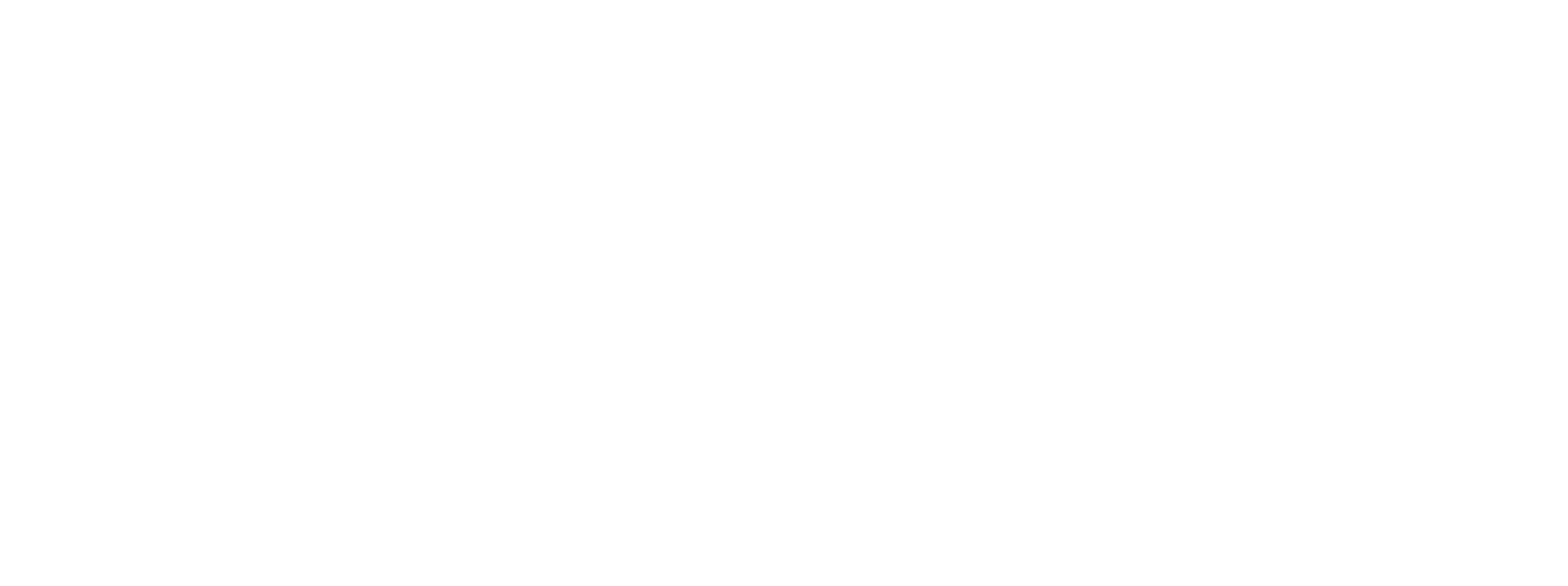 Logo-bile-inverzni.png