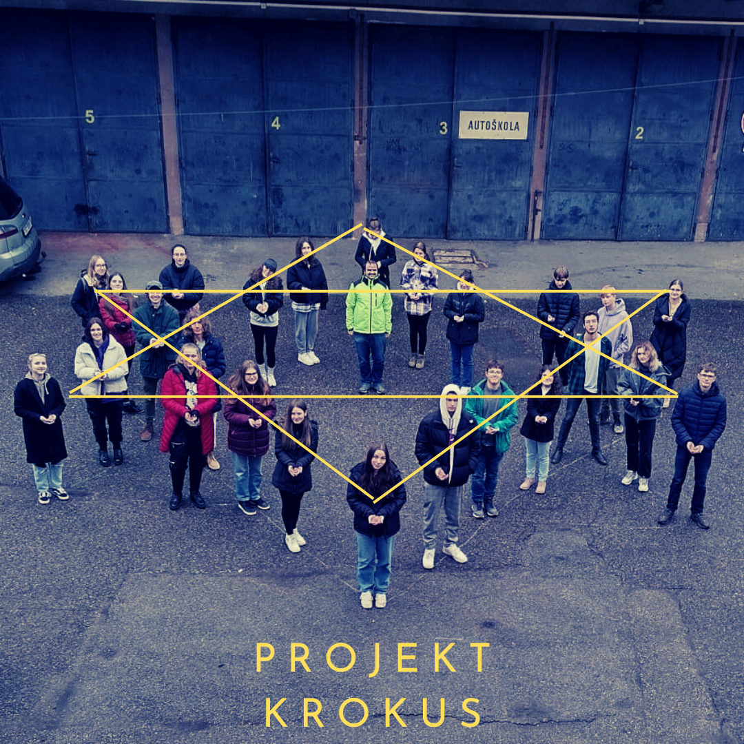 projekt krokus.png